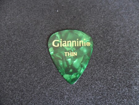 PALHETA GIANINNI THIN VERDE R$2,00
