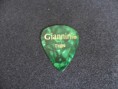 PALHETA GIANINNI THIN VERDE R$2,00